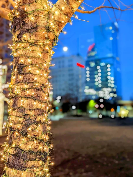 Charlotte Mattina Presto Decorato Con Luci Vacanze — Foto Stock