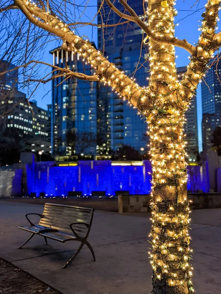 Charlotte Manhã Cedo Decorado Com Luzes Férias — Fotografia de Stock