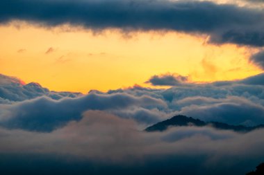 Güzel yaz doğası Maggie Valley Kuzey Carolina 'da