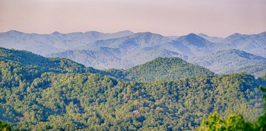 Güzel yaz doğası Maggie Valley Kuzey Carolina 'da
