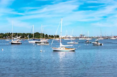 Wickford Cove Rhode Adası 'nda rıhtımda yüzen küçük tekneler.