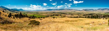 Wyoming 'deki Yellowstone Ulusal Parkı' ndaki görüntüler