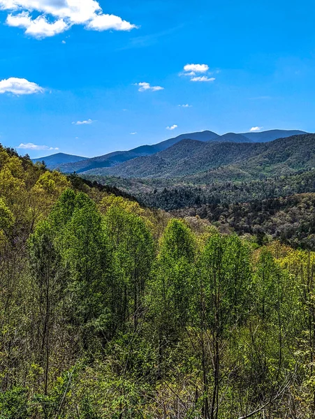 Nantahala Foresta Nazionale Panoramica Montagna Ovelook Nel Nord Carolina — Foto Stock