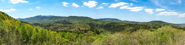 Kuzey Carolina Daki Ocoee Gölü Ndeki Manzaraları — Stok fotoğraf