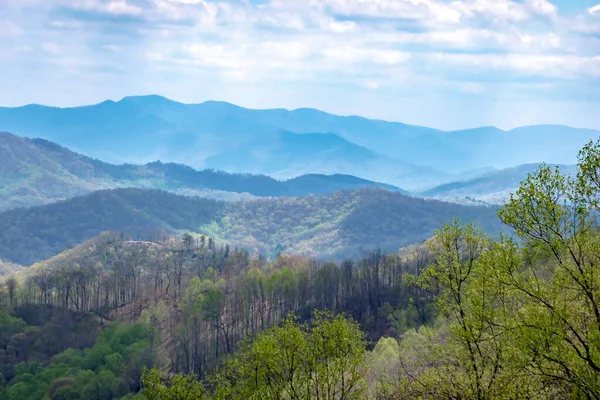 Landscape Scenic Views Pisgah National Forest — Stock Photo, Image