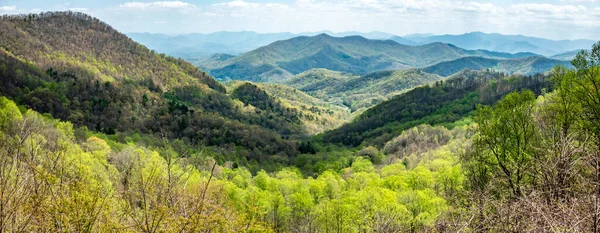 Vues Panoramiques Sur Forêt Nationale Pisgah — Photo