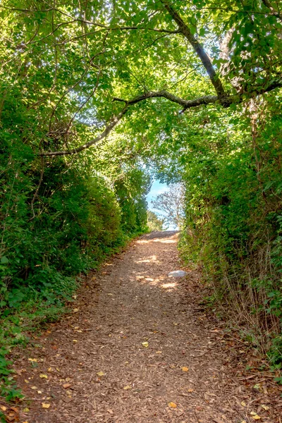 Priveliști Pitorești Portul Newport Rhode Island — Fotografie, imagine de stoc