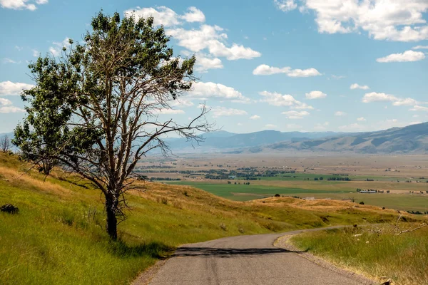 Escenas Alrededor Del Parque Nacional Yellowstone Wyoming — Foto de Stock