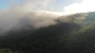 Maggie Valley Kuzey Carolina 'daki güzel doğa manzarası.
