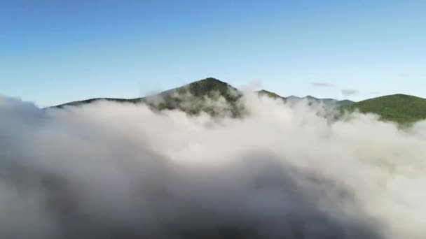 Красивые Природные Пейзажи Долине Мэгги Северная Каролина — стоковое видео