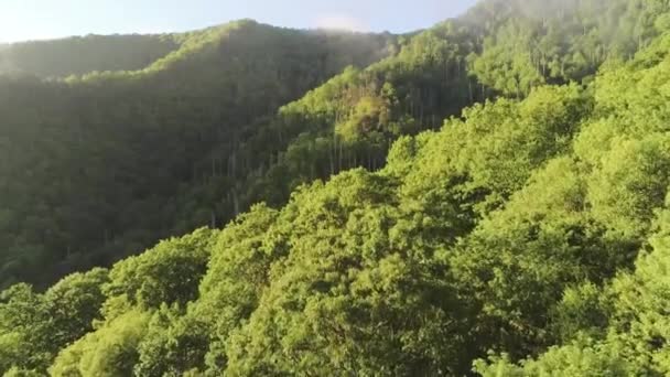 Vakkert Naturlandskap Maggiandalen Nord Carolina – stockvideo