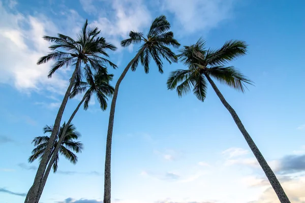 Görünüm Pistimiz Oahu Kuzey Kıyısında Hawaii Park Tropikal Plaj — Stok fotoğraf