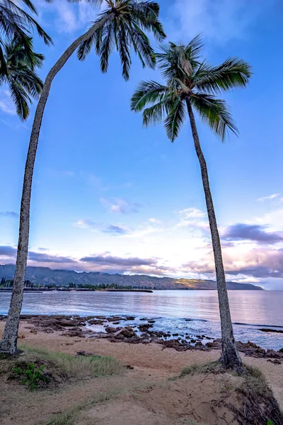 Vista Parque Praia Tropical Haleiwa Costa Norte Oahu Havaí — Fotografia de Stock