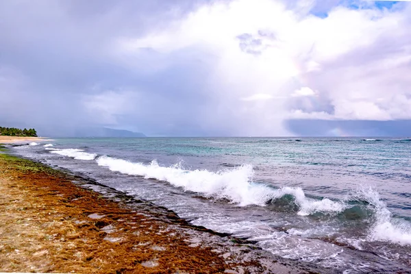 Spiaggia Laniakea Turtle Beach Sulla Costa Nord Oahu Hawaii — Foto Stock