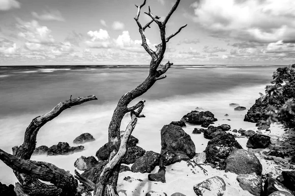 Kualoa Rock Beach Kualoa Beach Oahu Hawaii — Foto de Stock