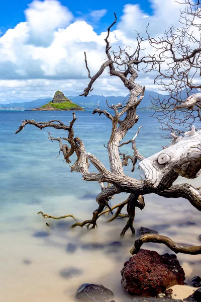 Chinaman Hat Kane Ohe Bay Oahu Hawaii — Zdjęcie stockowe