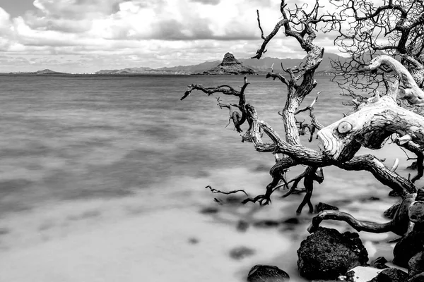 Chinaman Hat Kane Ohe Bay Oahu Hawaii — Stock fotografie