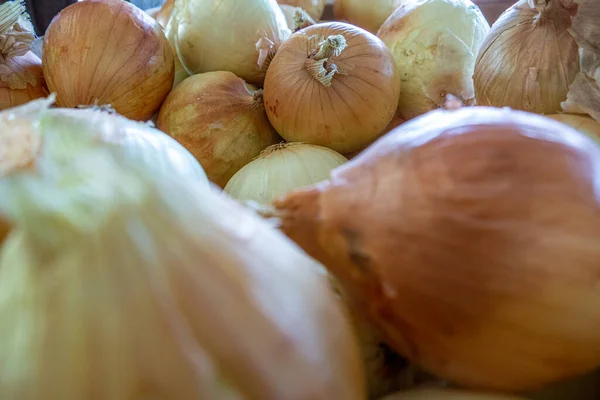 Fresh Harvest Juicy Onions Local Fruit Market — Stock Photo, Image