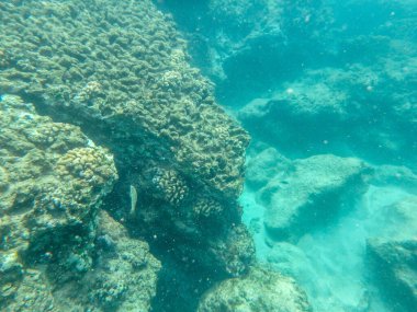 Kulailai Körfezi 'nde kar yağışı.