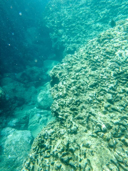 Sharks Cove Snorkeling Oahu Hawaii North Shore — стоковое фото