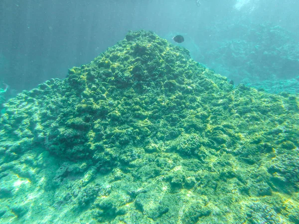 Sharks Cove Snorkeling Oahu Hawaii North Shore — Fotografia de Stock