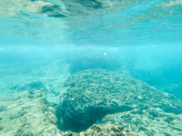 Snokeling Kulailai Bay Oahu Hawaii West Coast — стоковое фото