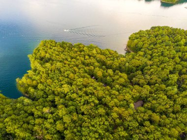 Jocassee Gölü 'nün güzel manzarası Güney Carolina