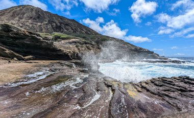 Tropikal Manzara, Lanai Gözcüsü, Oahu Hawaii