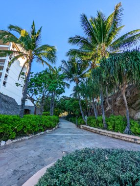 Gizli plaj Oahu Adası Hawaii