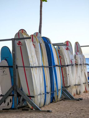 sörf Kiralama Dükkanı waikiki Plajı Hawaii