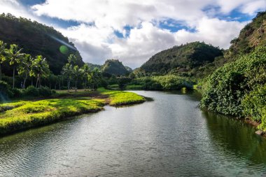 Vaimea botanik bahçesi nehir manzarası oahu Hawai