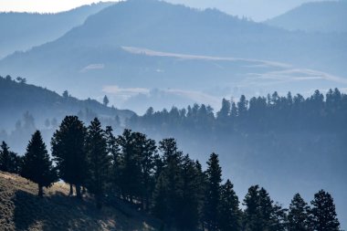 Wyoming ve Montana 'daki Yeallowstone Ulusal Parkı' nın manzarası