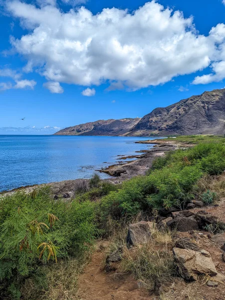 Västra Sidan Scen Oahu Hawaii — Stockfoto