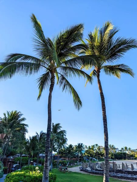 秘密のビーチオアフ島ハワイ — ストック写真