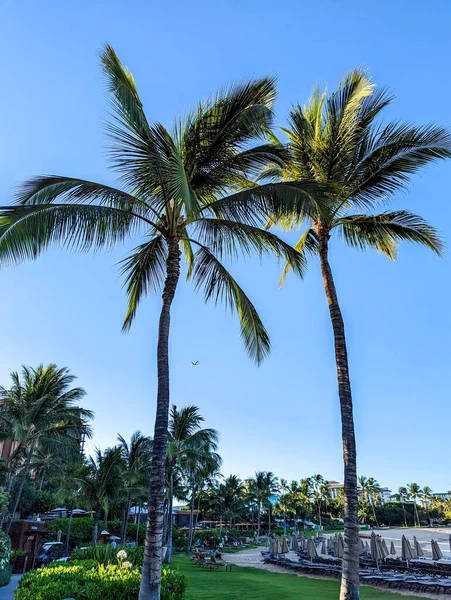 Tajná Pláž Oahu Ostrov Havaj — Stock fotografie