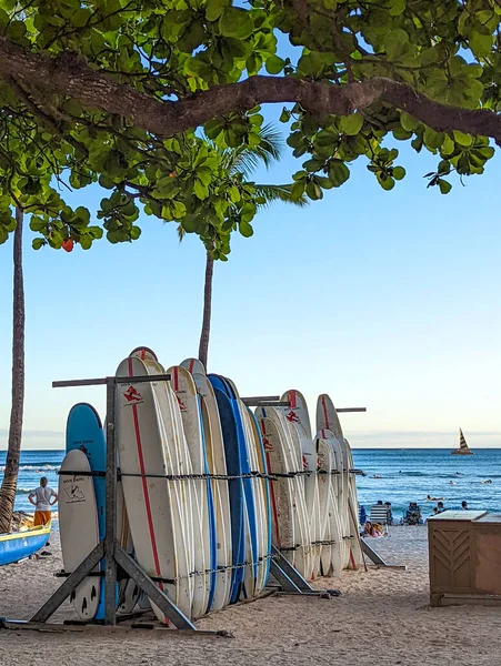 Magasin Location Surf Sur Plage Waikiki Hawaï — Photo