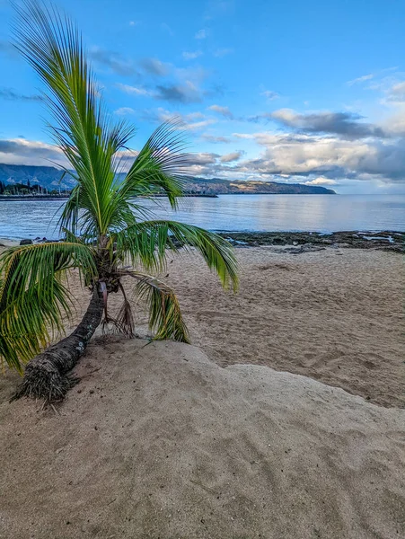 Waialua Bay North Shore Oahu Hawaii — Stok fotoğraf