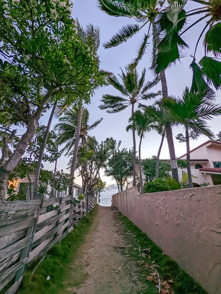 夏のオアフ島ハワイの景色 — ストック写真