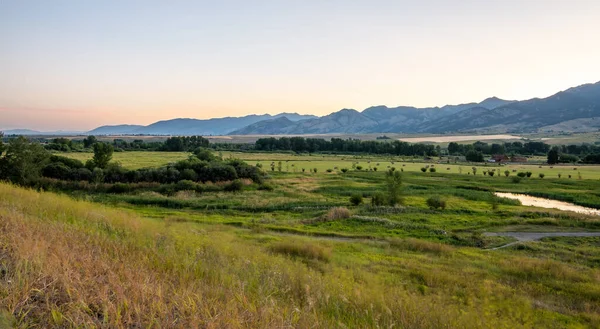 Yellowstone Nationalpark Mit Blühenden Landschaften — Stockfoto