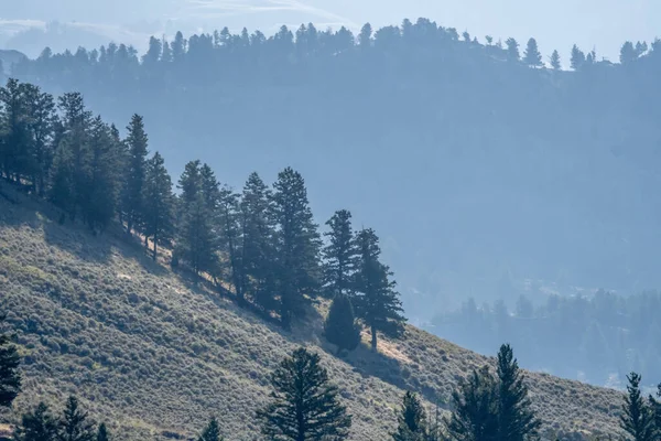 Natursköna Vyer Runt Yeallowstone Nationalpark Wyoming Och Montana — Stockfoto