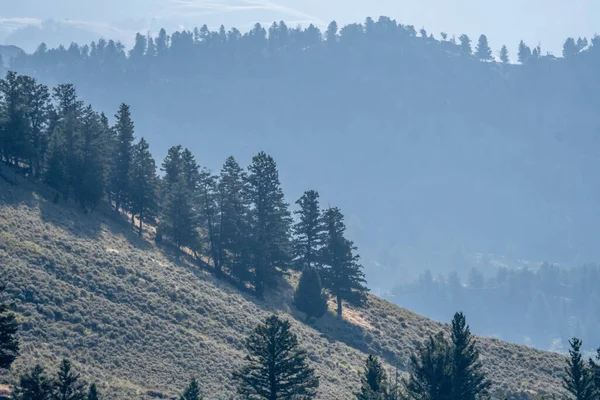 Wyoming ve Montana 'daki Yeallowstone Ulusal Parkı' nın manzarası