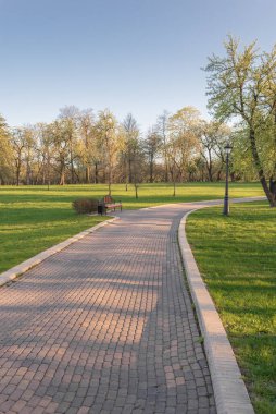 Güneşli bir günde parkta yürümek..