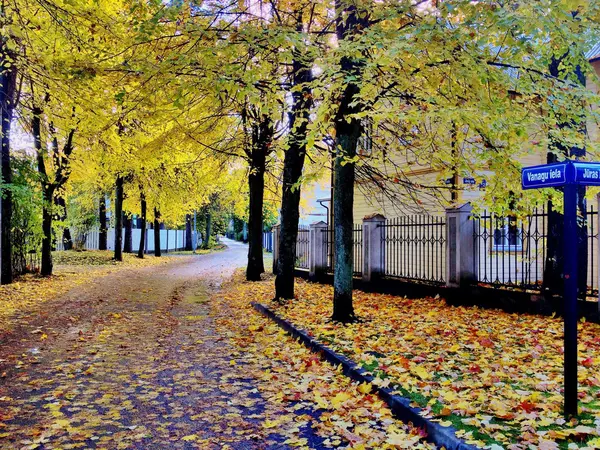 Осень в Юрмале — Stock Photo, Image