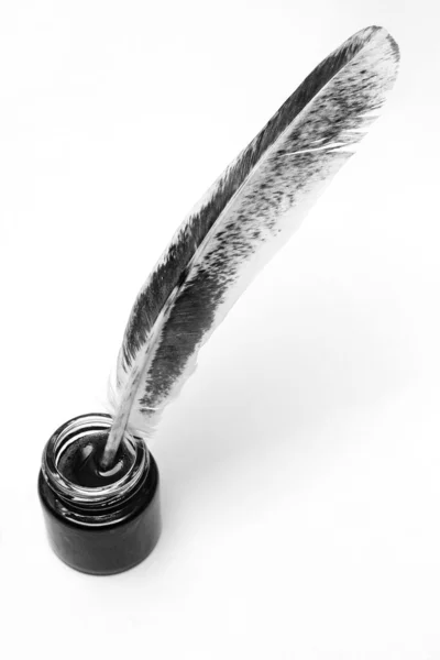 Quill and ink — Stock Photo, Image