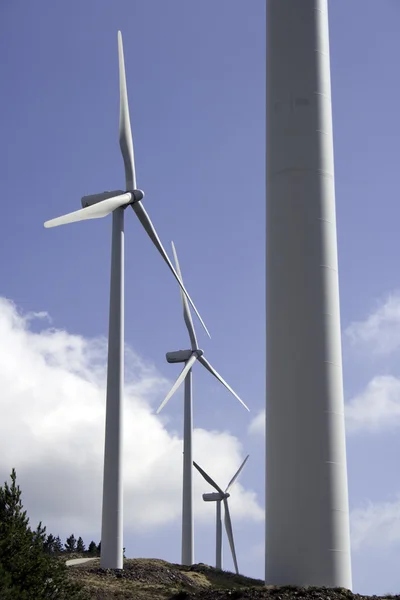 Turbine eoliche — Foto Stock