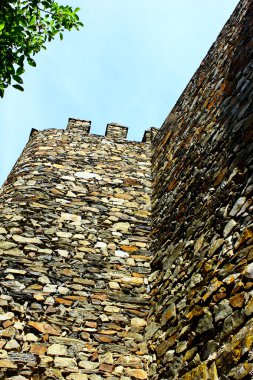 ayrıntılı bir kale duvarı ve Kulesi