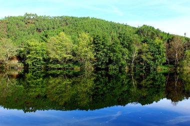 su üzerinde yansıtan ağaçlarla peyzaj