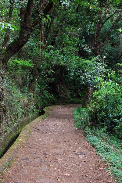 Bevattning kanalen, ön madeira, portugal — Stockfoto