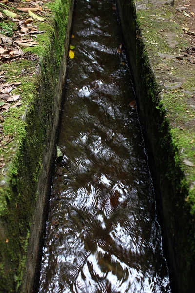 Irrigation canal, Madeira island, Portugal — Stock Photo, Image