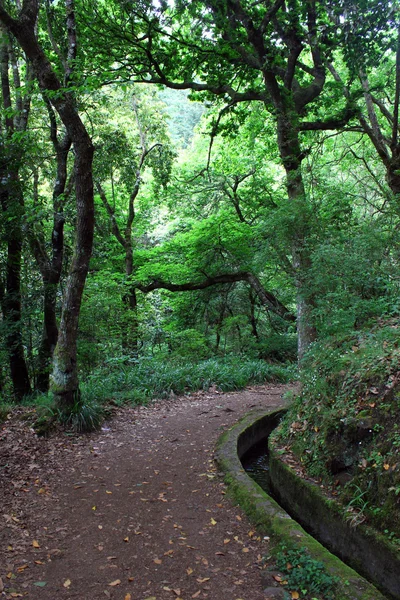 Canale di irrigazione, isola di Madeira, Portogallo — Foto Stock